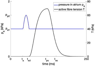 Support Pressure Acting on the Epicardial Surface of a Rat Left Ventricle—A Computational Study